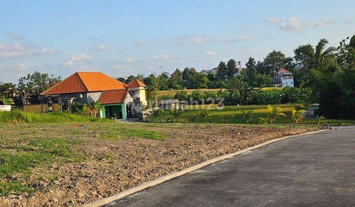 SUSUSUSUSUPER DI JUAL TANAH VIEW SAWAH LOKASI TUMBAK BAYUH CANGGU KUTA UTARA BADUNG
 1