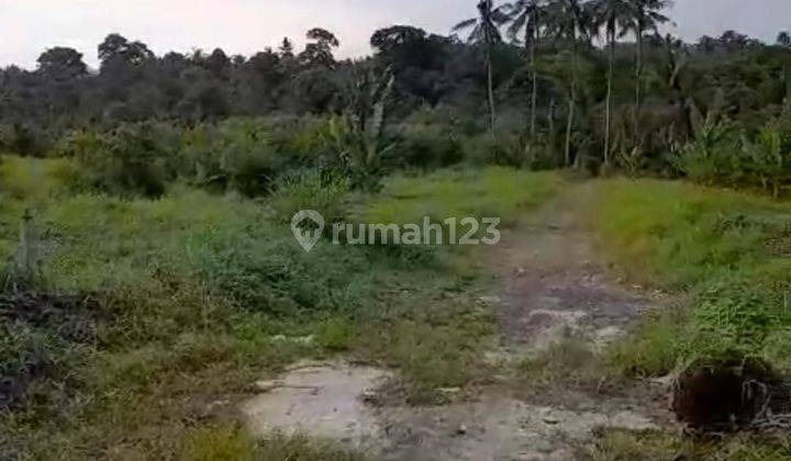 PASTI CLOSING DI JUAL TANAH LOKASI BATUAJI TABANAN 2