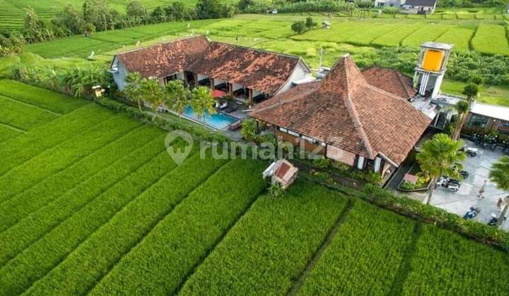 Deal for Sale Guesthouse Location Abasan Tibubeneng North Kuta Badung Bali