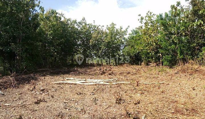 SURE CLOSING FOR SALE LAND IN UNGASAN LOCATION, SOUTH KUTA, BADUNG 2