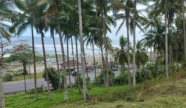 SURE DEAL FOR SALE LAND LOSS SEA VIEW BEACH SIDE OF MAIN ROAD LOCATION DENPASAR - GILIMANUK, SELEMADEG TABANAN  1