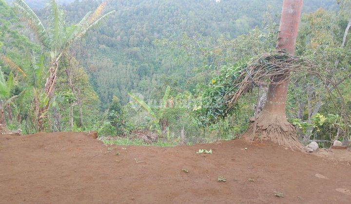 SURE CLOSING FOR SALE LAND WITH SEA & VALLEY VIEW, Munduk Tamblingan, BULELENG LOCATION 1