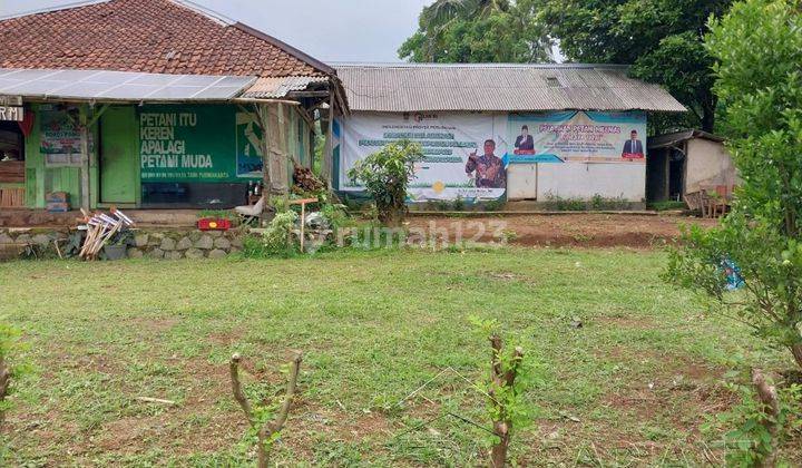 Tanah 1,6 Hektar di Wanayasa, Purwakarta, Cocok Untuk Usaha 2