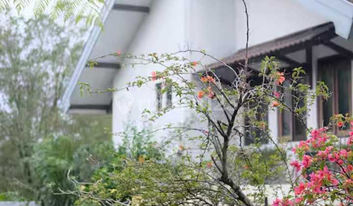 Rumah Murah Siap Huni Bagus Shm Di Kanayakan, Sayap Dago Rumah Murah Siap Huni Bagus Shm Di Kanayakan, Sayap Dago