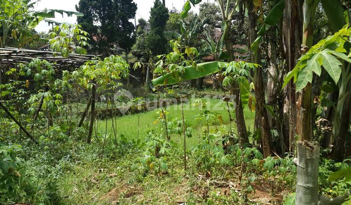 Tanah Murah Luas 3800.0 M² Shm Di Ujungberung