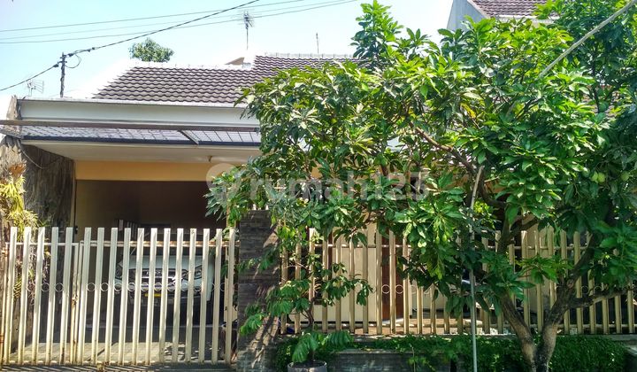 Minimalist House Ready to Occupy Strategic City Center 2