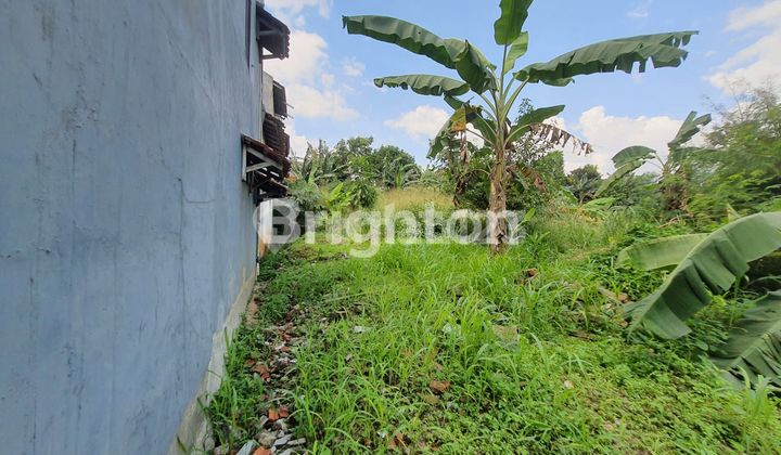TANAH KEBUN LOKASI STRATEGIS PINGGIR JALAN RAYA DIBAWAH NJOP 3300 METER DEPOK