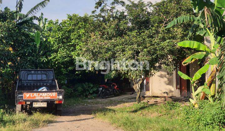 RUMAH KONTRAKAN 2,DAN DUA RUMAH RUSAK HITUNG HARGA TANAH SAJA  PINGGIR JALAN RAYA DEKAT TANGSEL 2