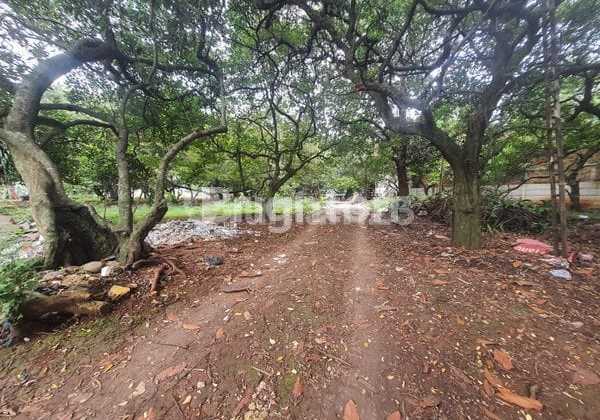 Strategic Build-Ready Land Near Toll Road and Luxury Housing in Rangkapanjaya Strategic Build-Ready Land Near Toll Road and Luxury Housing in Rangkapanjaya