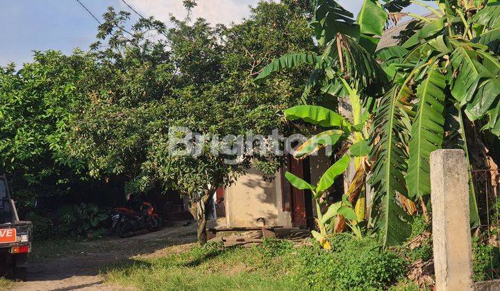 TANAH PINGGIR JALAN RAYA BISA UNTUK USAHA 2300 METER DI DEPOK 2