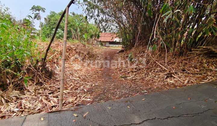 Tanah Datar Harga Murah di Perbatasan Curug dan Legok