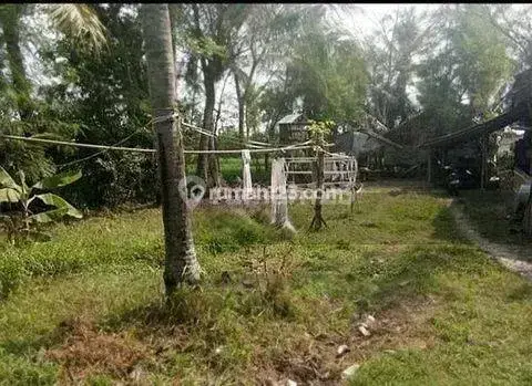 Tanah Padat Di Balaraja Tangerang Dekat Puskesmas Suka Mulya 2