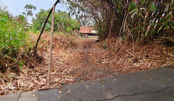 Tanah Datar Harga Murah Di Perbatasan Curug Dan Legok