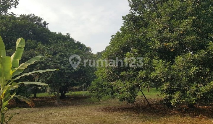 Land for Sale in Strategic Location in Cikupa Tangerang Land for Sale in Strategic Location in Cikupa Tangerang