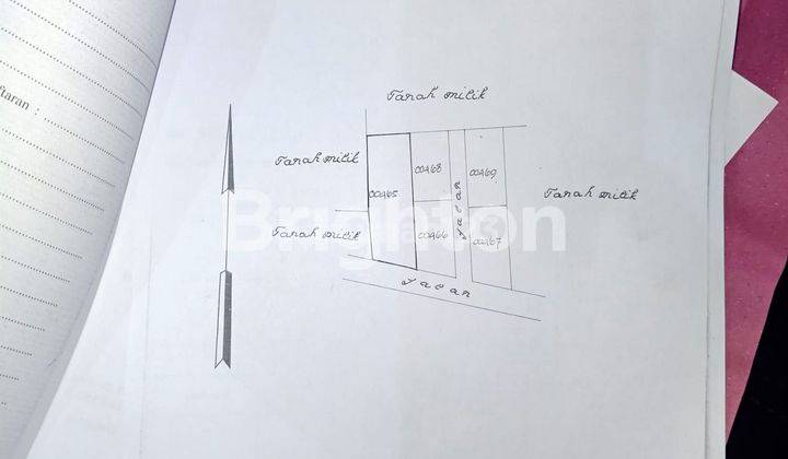 lahan datar di area tinggi bagus untuk villa ataupun perumahan 1 menit ke denpasar 2