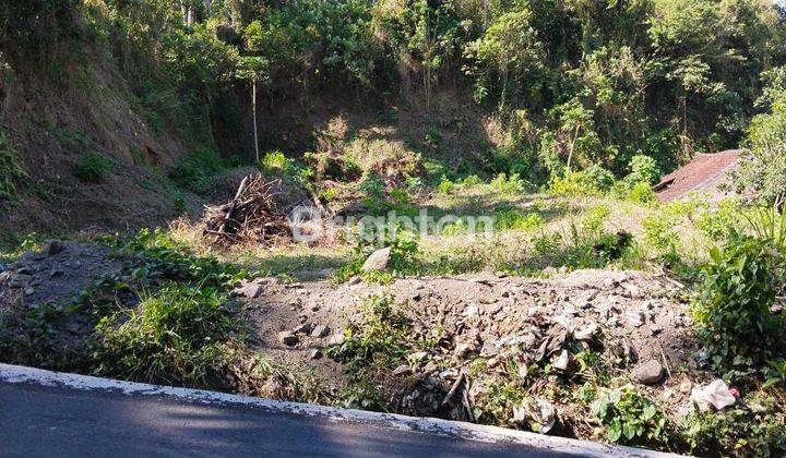 lahan datar di area tinggi bagus untuk villa ataupun perumahan 1 menit ke denpasar 1