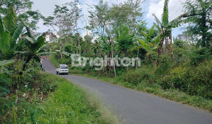 LAHAN AKSES JALAN ENAM METERAN DEKAT AIR TERJUN DENGAN VIEW TEBING HIJAU DAN PEGUNUNGAN 2