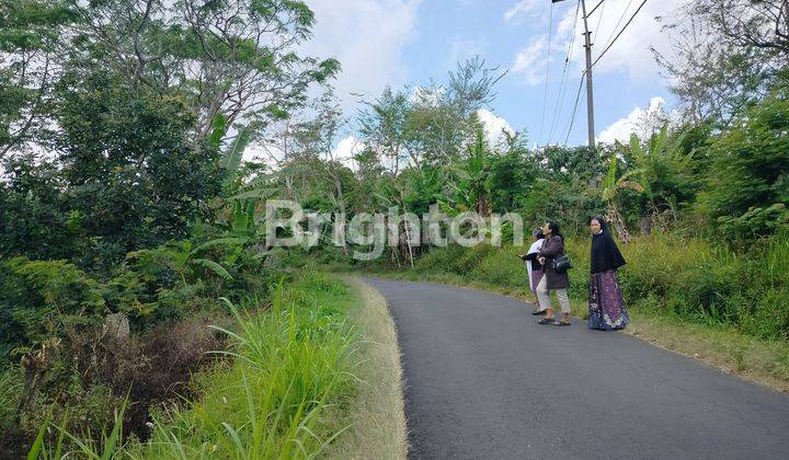 LAHAN DI WANAGIRI 46 ARE DENGAN VIEW TEBING HIJAU DAN PEGUNUNGAN ALES 2