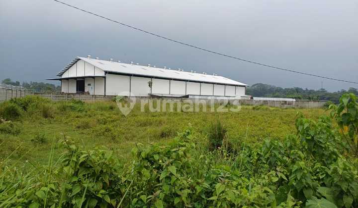 Tanah 4907 m2 SHM di Legok, Tangerang Cocok Untuk Gudang Atau Pabrik Tanah 4907 m2 SHM di Legok, Tangerang Cocok Untuk Gudang Atau Pabrik
