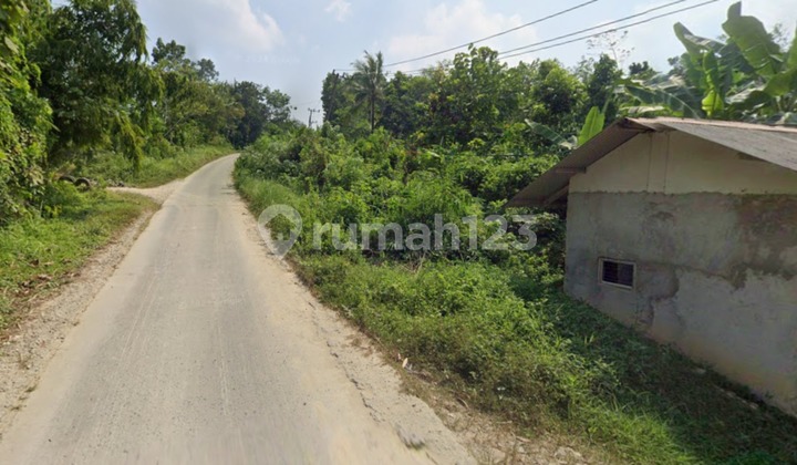 Dijual Tanah Lokasi Strategis di Pinggir Jalan Rangkasbitung, Lebak