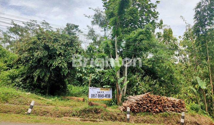 TANAH DI WONOGIRI PINGGIR JALAN RAYA 1