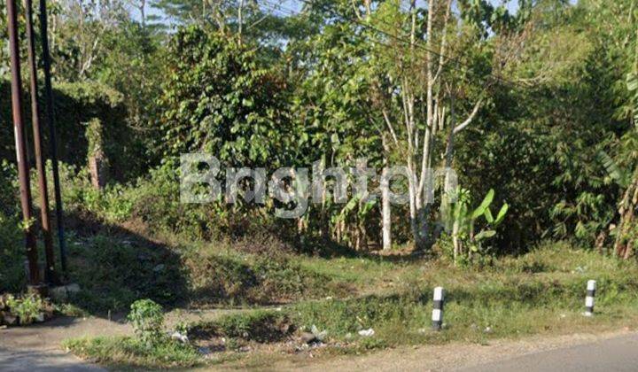 TANAH DI WONOGIRI PINGGIR JALAN RAYA 1