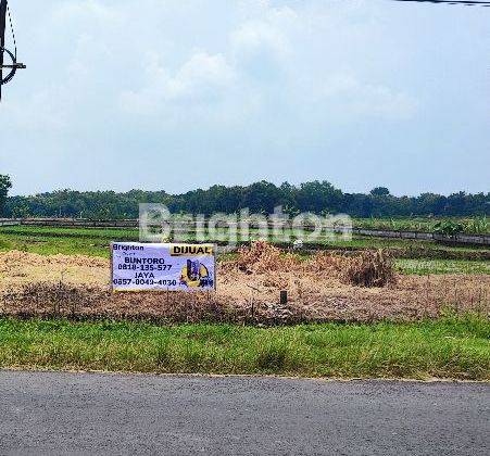 TANAH DI JALAN RAYA GIRIMARGO - MIRI 1