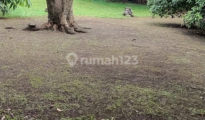 Dijual Tanah & Bangunan Di Parung Bogor. Jln Raya H. Mawi. Dekat Pasar Parung Dijual Tanah & Bangunan Di Parung Bogor. Jln Raya H. Mawi. Dekat Pasar Parung