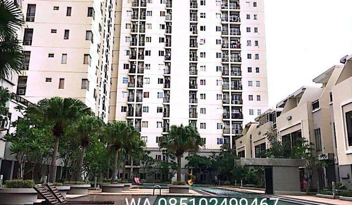 Apartemen Maple Park 3 Bedroom Kemayoran Jakarta  1