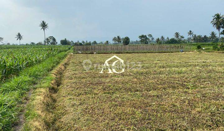 Tanah Luas Surat Ajb di Tumpang Malang 2