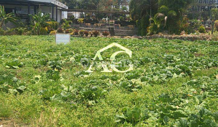 Tanah di Pesanggrahan Batu belakang Cafe Pupuk Bawang  2