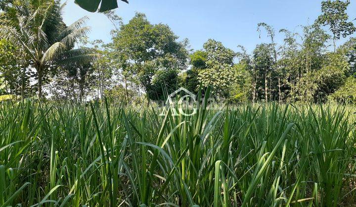 Tanah Luas 1.124 m² di Gunungrejo Singosari Malang 1