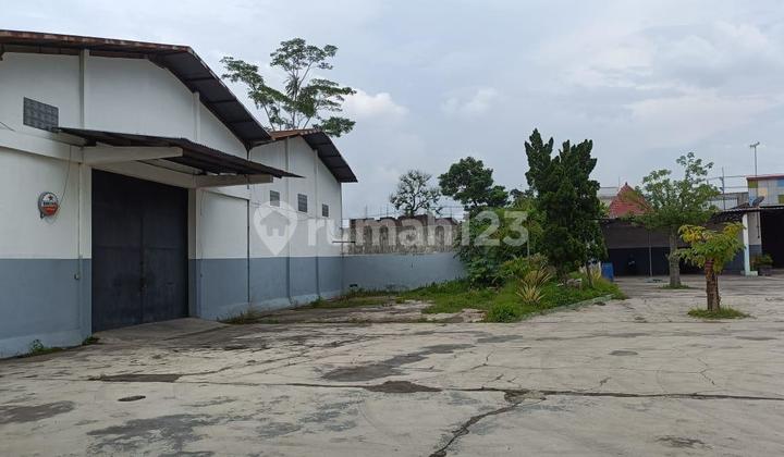 Warehouse For Rent In Tulungagung in Tulungagung Warehouse Warehouse For Rent In Tulungagung in Tulungagung Warehouse