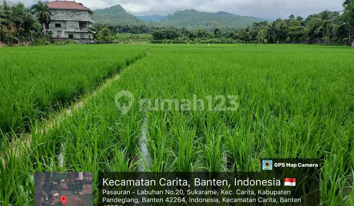 Land for Quick Sale at Carita Beach, Banten. Land for Quick Sale at Carita Beach, Banten.