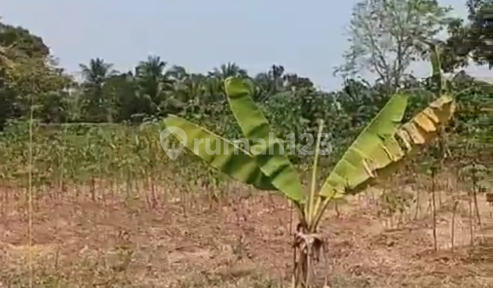 Dijual Kavling Di Jl Raya Balaraja, Tangerang