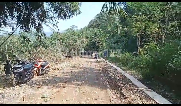 Dijual Tanah/kavling Di Desa Putat Nutug, Ciseeng, Kab Bogor. Dijual Tanah/kavling Di Desa Putat Nutug, Ciseeng, Kab Bogor.