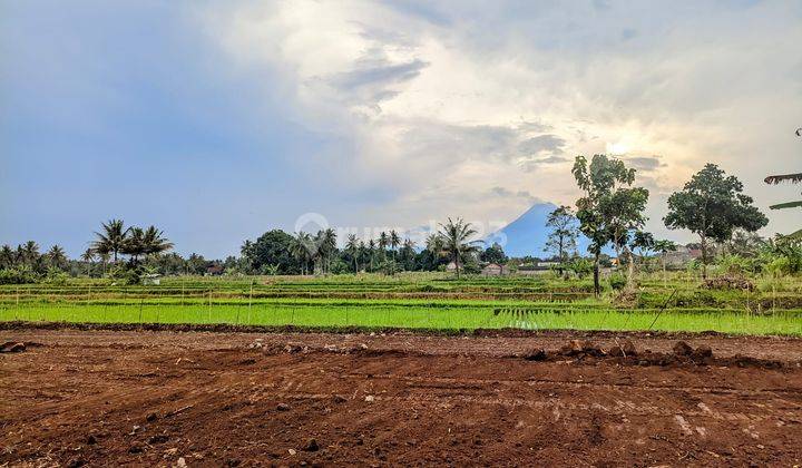 KAVLING TIMUR PEMDA SLEMAN, COCOK VILLA LEGALITAS SHM 2