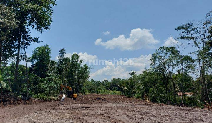 Tanah Jogja Kaliurang Sleman, 200 Jutaan. Lingkungan Sejuk Shmp  1