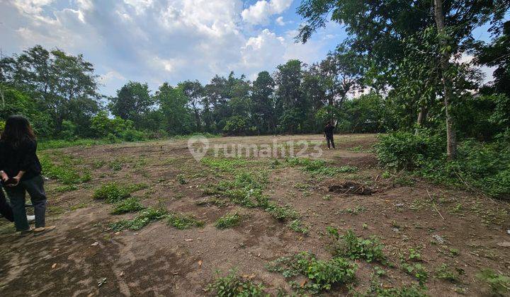 Tepat Untuk Hunian. Tanah Jogja Murah, Barat Jalan Lpmp Sleman  2