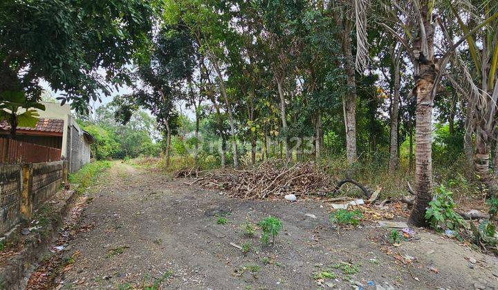 Jual Tanah di Tirtomartani Kalasan, 100 Meter Belakang Jalan Lpmp 2