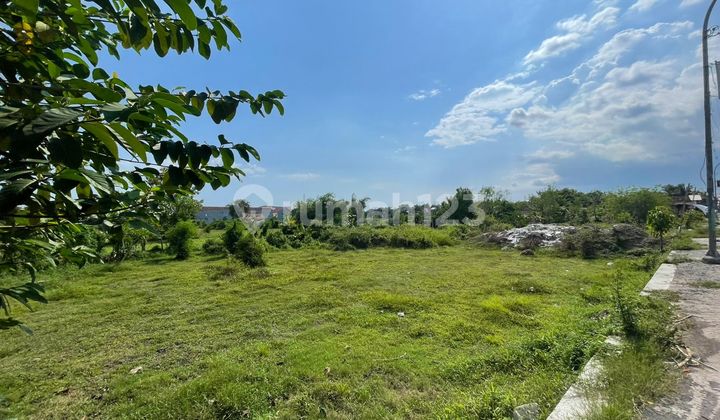 Tanah Luas Pinggir Aspal – Investasi Untung