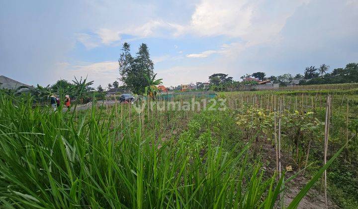 Tanah Nyaman di Selomartani Jogja, 100 Jutaan, Cocok Untuk Hunian