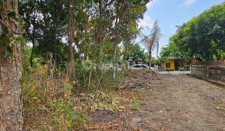 Jual Tanah di Tirtomartani Kalasan, 100 Meter Belakang Jalan Lpmp 1