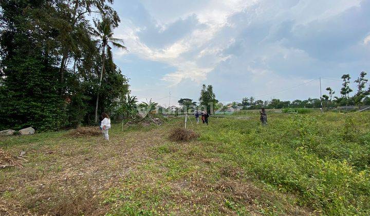 Tanah Jogja 1 Juta an di Selomartani, SHM Pekarangan 2