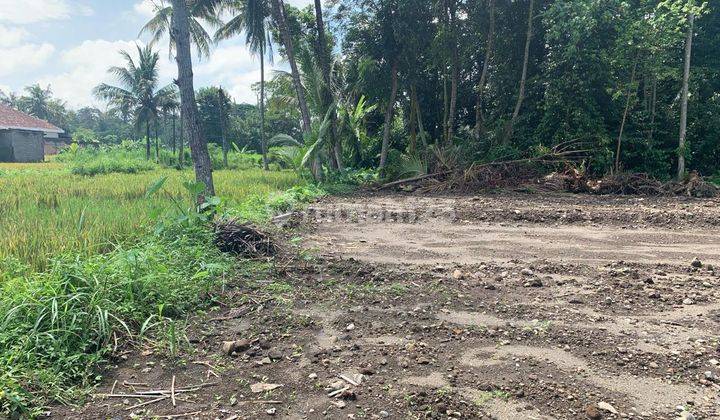 Tanah Jogja SHM Pekarangan Dekat Kampus Uii Pusat Jl. Kaliurang  2