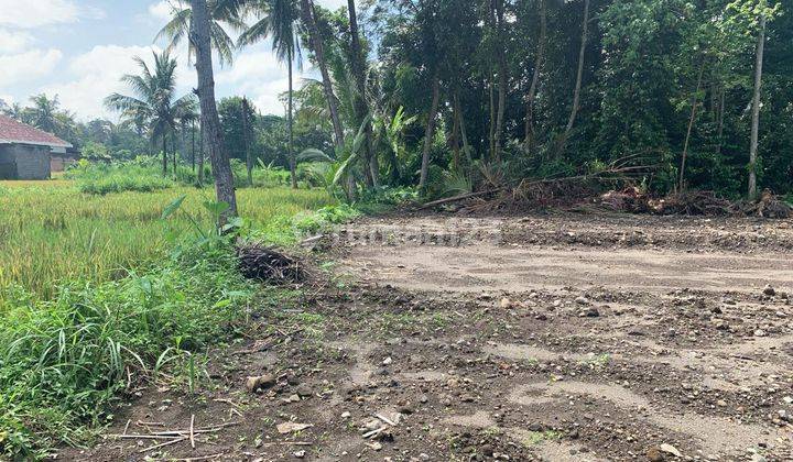 Tanah Jogja SHM Pekarangan Dekat Kampus Uii Pusat 2