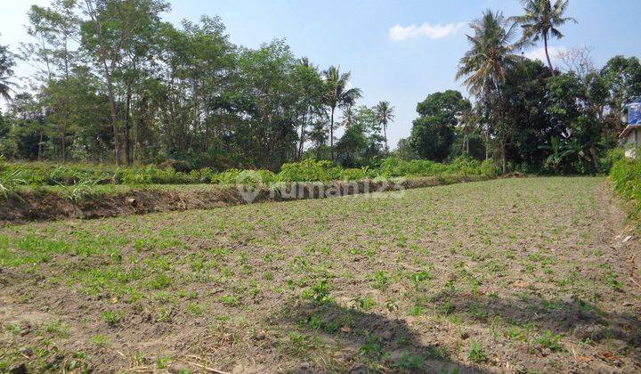 Tanah Jogja dekat dengan Polsek Ngemplak 1