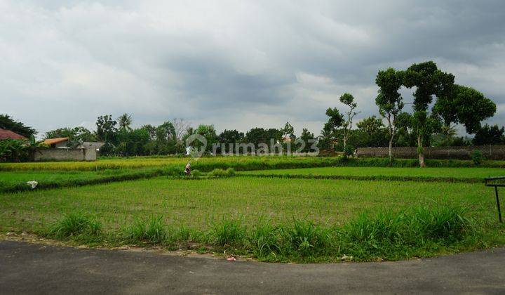 Tanah SHM Pekarangan di Selomartani, Kalasan, Sleman 2