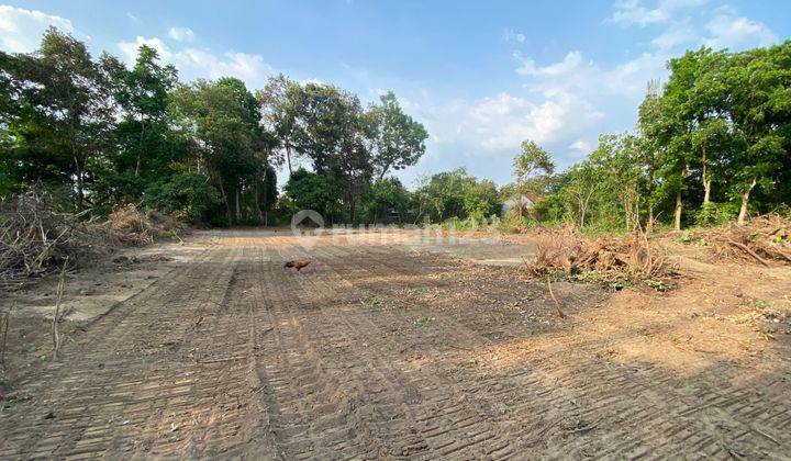 Tanah Jogja SHM Pekarangan Di Cicil Saja Tanpa Bunga 2