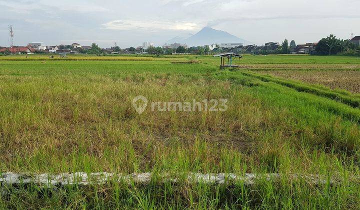 Jual Tanah Kavling Jogja Siap Balik Nama di Caturtunggal, Depok 2